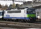 IMG 2925