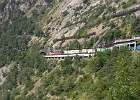 SH105736