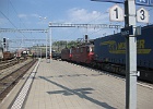 IMG 0011