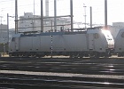 IMG 0065