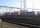 IMG 0070