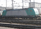 IMG 0079