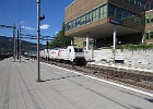 IMG 0782