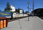 IMG 0784