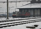 IMG 0788