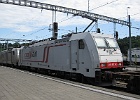 IMG 1879
