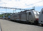 IMG 1884