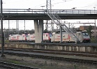 IMG 3135