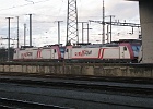 IMG 3138