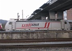 IMG 3144