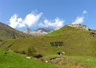 SH105879