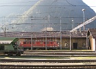IMG 0599