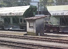 IMG 2724
