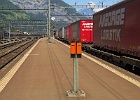 IMG 0619