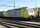 IMG 0061