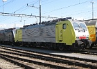 IMG 0062
