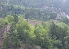 SH100235