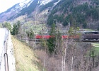 SH100964