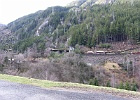 SH100967