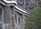 SH100985