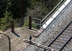 SH102961