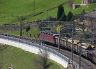 SH102974