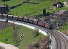 SH102981