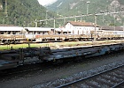 IMG 0301