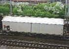 Hbis 01