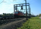 DSCF0005