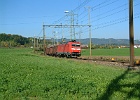 DSCF0025