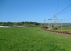 DSCF0026