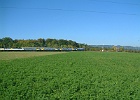 DSCF0031