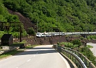 SH109102