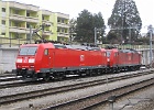 IMG 0004
