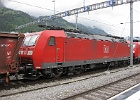 IMG 0092