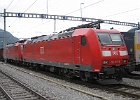 IMG 0101