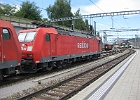 IMG 1390
