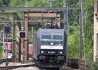 SH105186