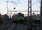 IMG 3156