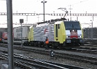 IMG 3157