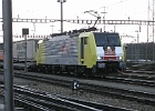 IMG 3165