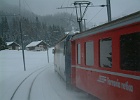 DSCF1815