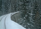 DSCF1825