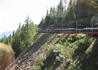IMG 2077