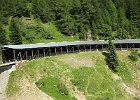 IMG 2078