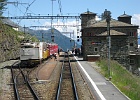 IMG 2109