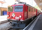 IMG 2121