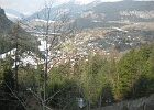 IMG 0278