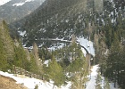IMG 0306